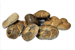 Assorted Bagels 